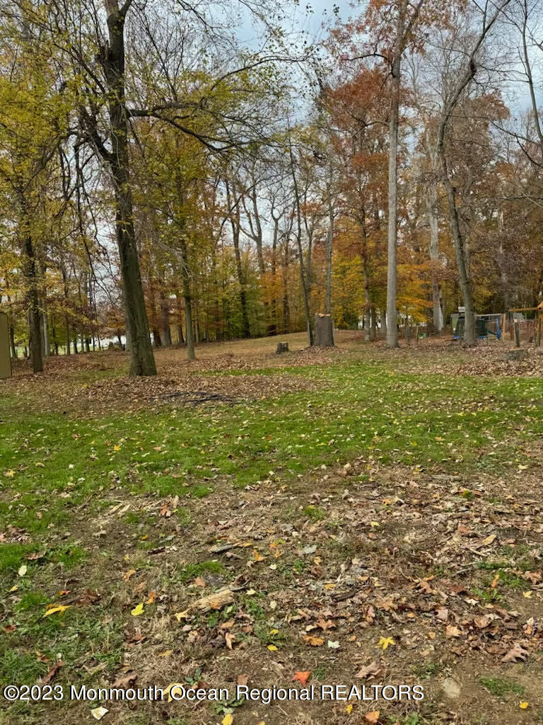 118 Holmes Mill Road Cream Ridge, NJ 08514 - Photo 38 of 42 unnamed-5