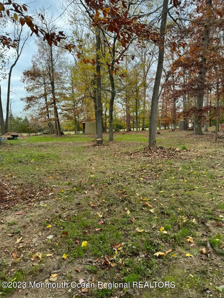 118 Holmes Mill Road Cream Ridge, NJ 08514 - Photo 40 of 42 unnamed-3