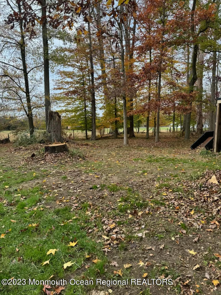 118 Holmes Mill Road Cream Ridge, NJ 08514 - Photo 41 of 42 unnamed-2