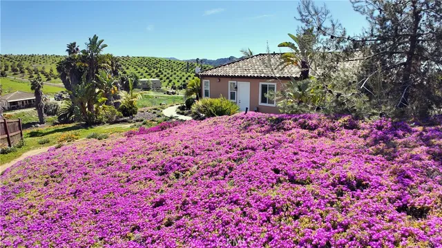a view of city with ocean