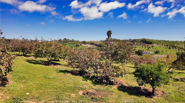 a view of a house with a garden