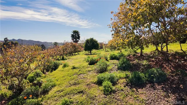 $9,999 | 31418 Calle De Talar, Bonsall, CA 92003