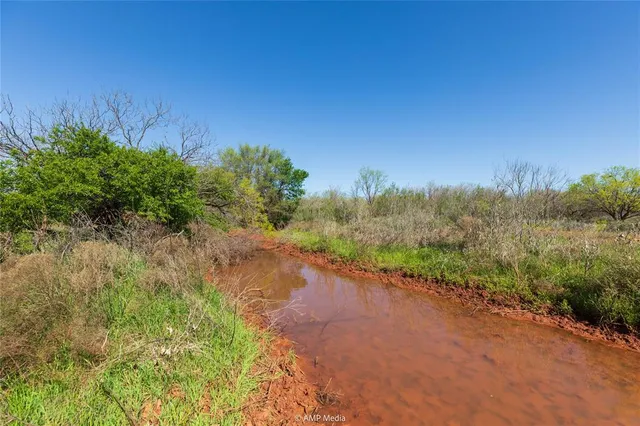 a big yard with lots of green space