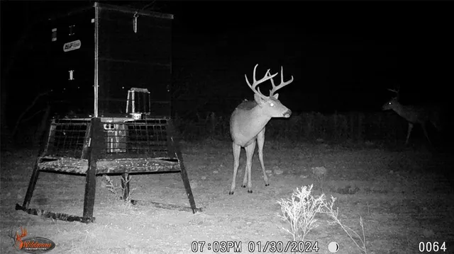 a view of a outdoor space