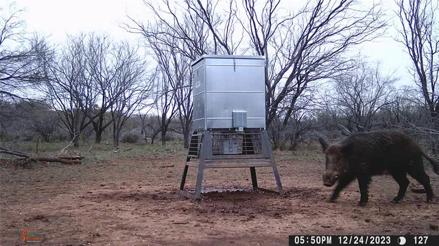 a view of a yard with a table and chair