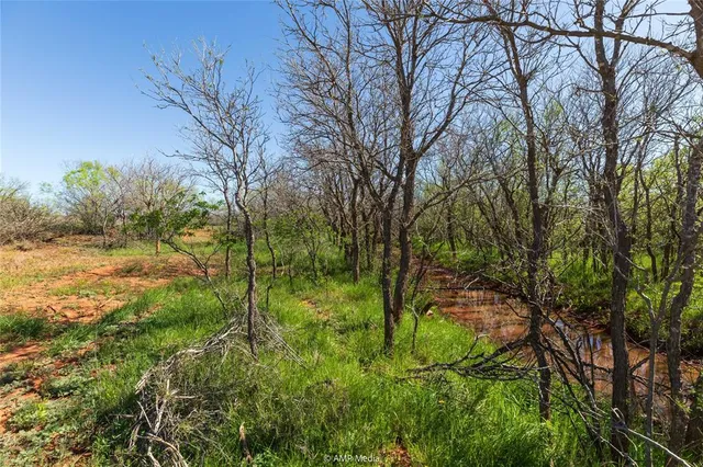 a big yard with lots of green space and trees