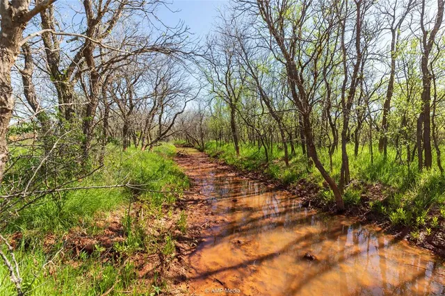 a backyard of a house with lots of trees
