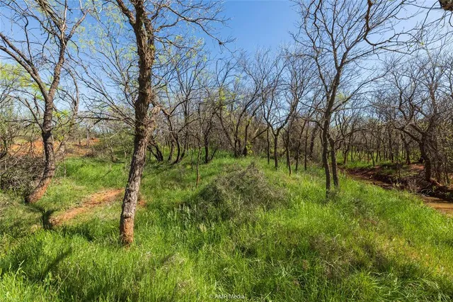a view of a yard with a tree