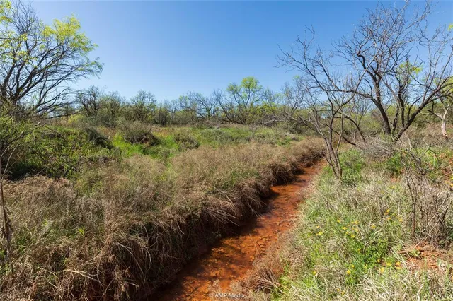 a view of a yard with plants and a bench
