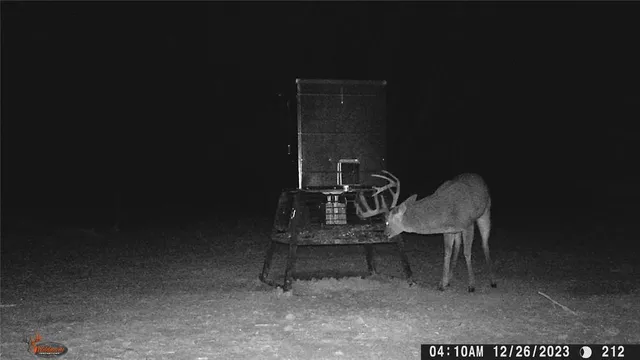 a view of a chairs in a room