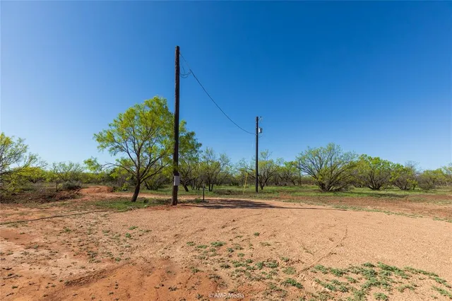 a view of a dry yard with a tree