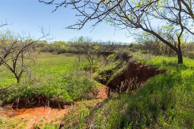 a view of a lake with a yard