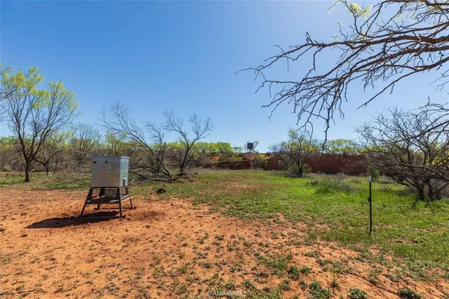 a view of a tree in front of a house