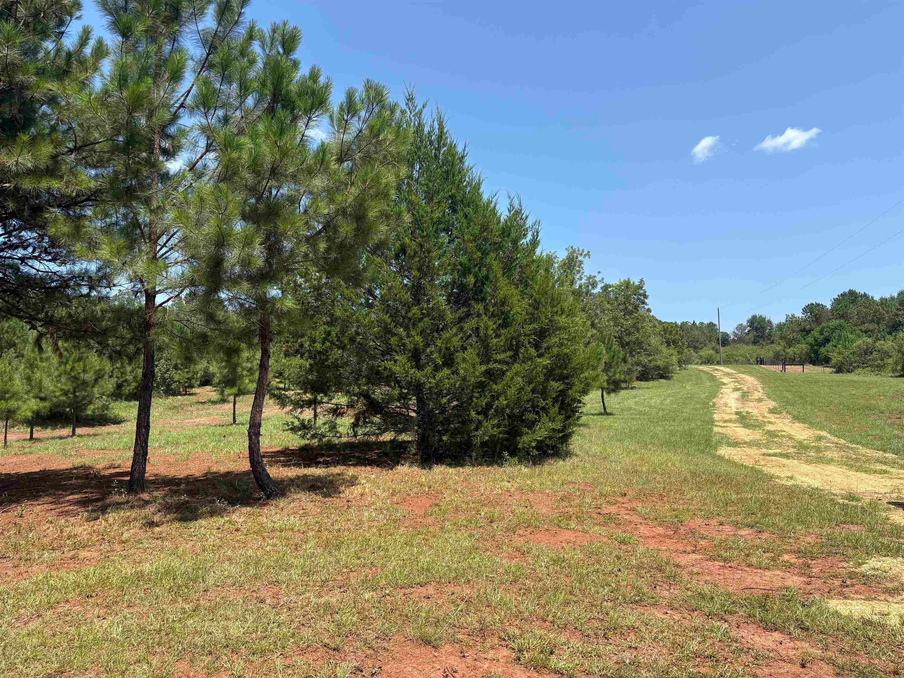 3875 North Mt Zion Road Honoraville, AL 36042 - Photo 10 of 14 Gallery Image 10