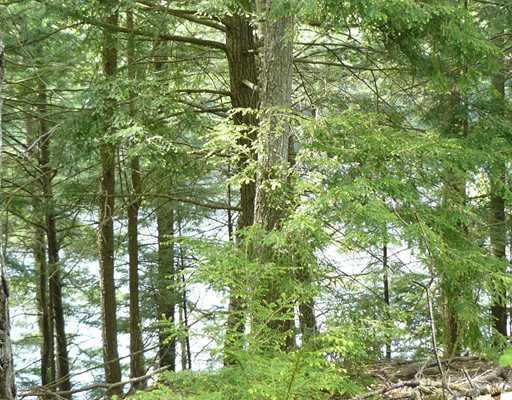 0 Howes Cove Road Liberty, ME 04949 - Photo 5 of 7 Land/Lot.