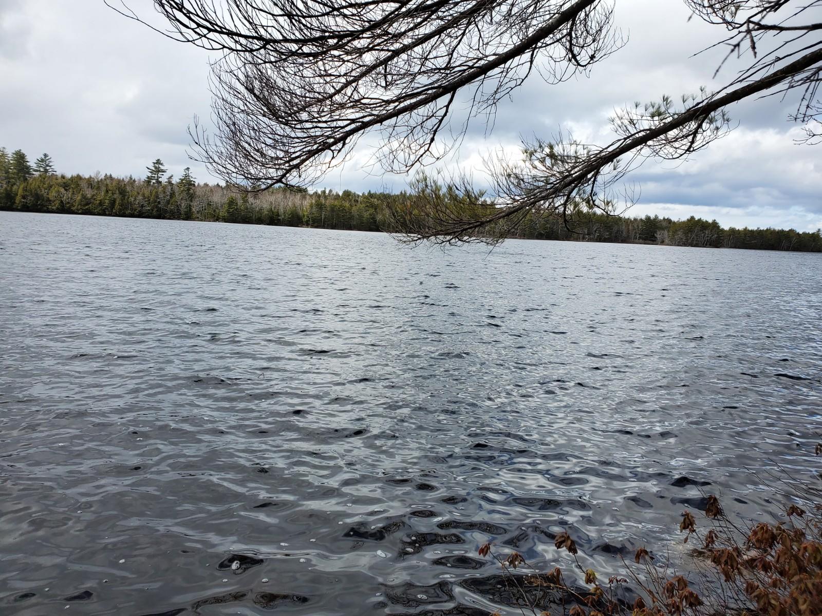 Lot 1 Deer Point Road Robbinston, ME 04671 - Photo 13 of 21 20200422_115612