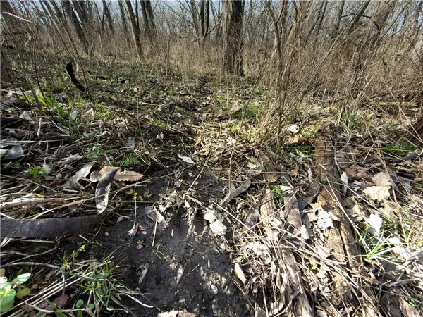 $490,000 | 8333 Southeast Tobin Valley Drive, Cowgill, MO 64637