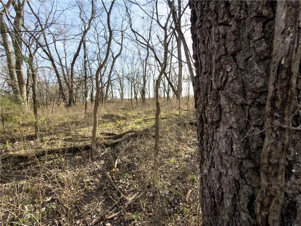 $490,000 | 8333 Southeast Tobin Valley Drive, Cowgill, MO 64637