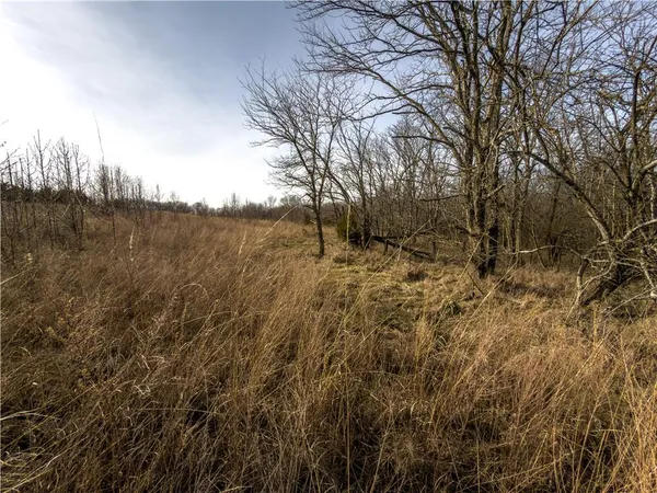 $490,000 | 8333 Southeast Tobin Valley Drive, Cowgill, MO 64637