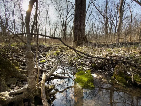 $490,000 | 8333 Southeast Tobin Valley Drive, Cowgill, MO 64637