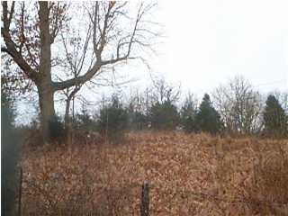 13 Jim Clark Road New Haven, KY 40051 - Photo 1 of 1 Primary Photo