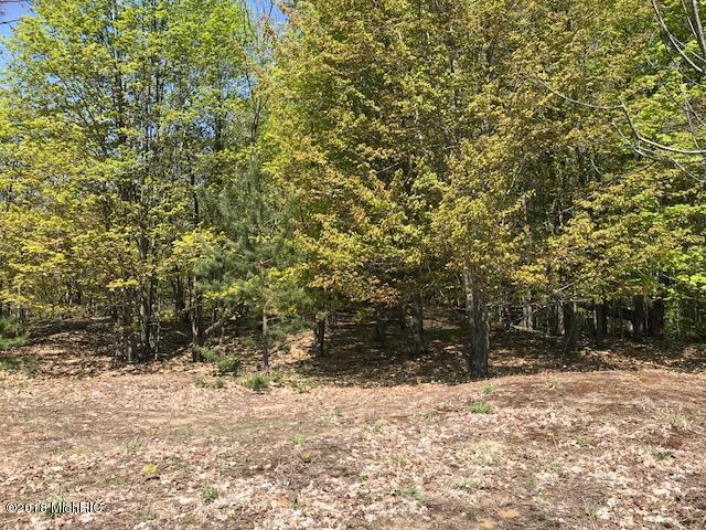 Vl West Freeman Road Free Soil, MI 49411 - Photo 20 of 53 IMG_0575