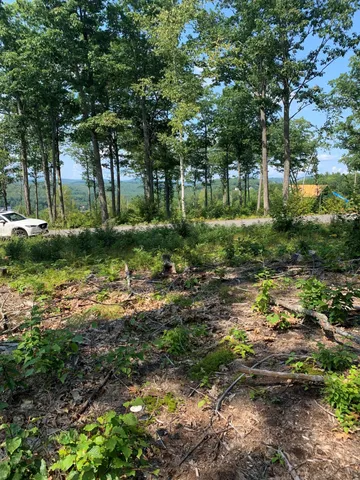 $118,900 | Lot 17 Birch Circle, Harrison, ME 04040