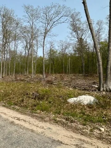 $118,900 | Lot 17 Birch Circle, Harrison, ME 04040
