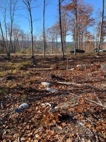$118,900 | Lot 17 Birch Circle, Harrison, ME 04040