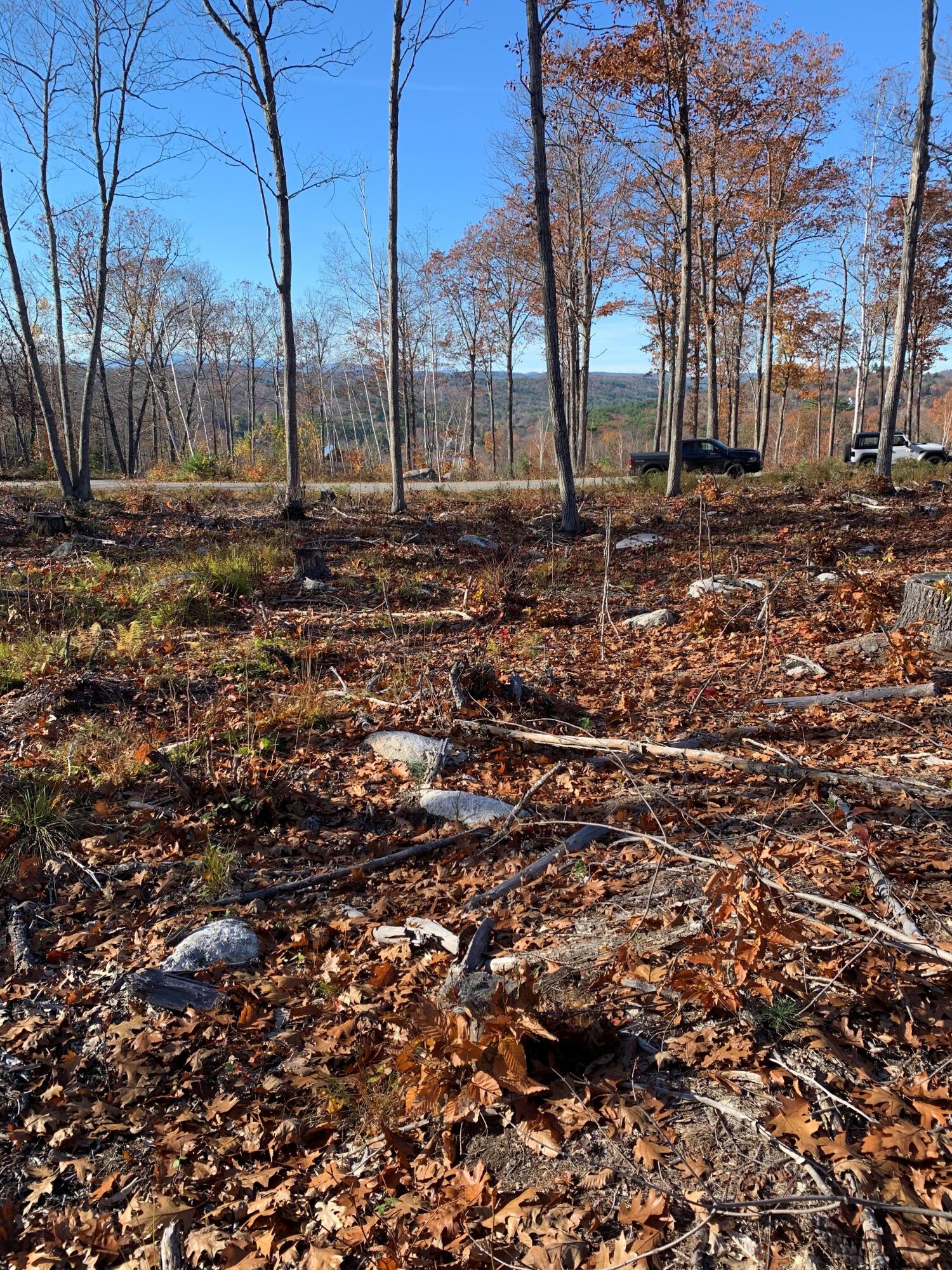 Lot 17 Birch Circle Harrison, ME 04040 - Photo 7 of 14 Sunset Birches8