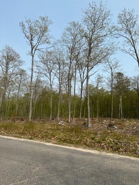 Lot 17 Birch Circle Harrison, ME 04040 - Photo 9 of 14 Gilman4