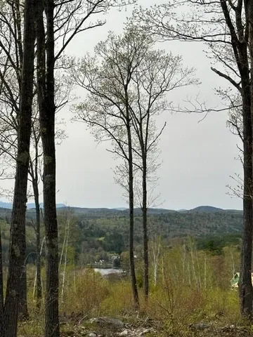 $118,900 | Lot 17 Birch Circle, Harrison, ME 04040