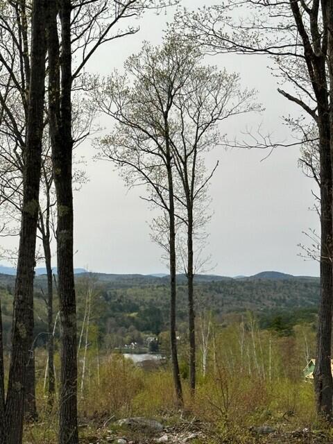 Lot 17 Birch Circle Harrison, ME 04040 - Photo 10 of 14 Gilman5