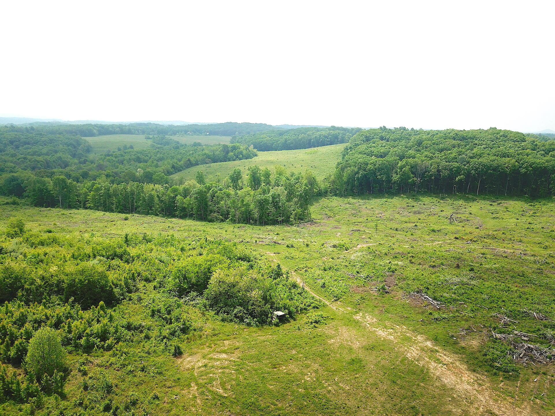 0 Beatty Road Waverly, OH 45690 - Photo 20 of 28 DJI_0963