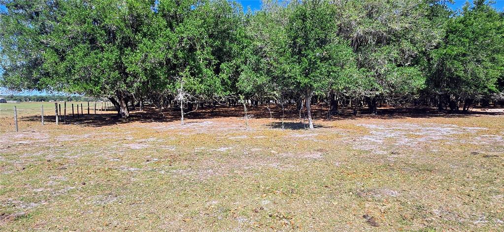 0 Connell Road Plant City, FL 33567 - Photo 27 of 29 Gallery Image 27