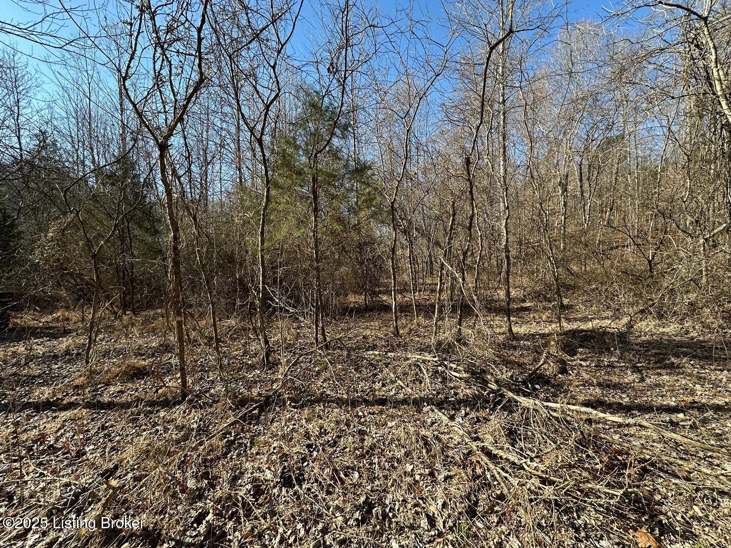 Lot 16 Duvall Road Caneyville, KY 42721 - Photo 9 of 9 Lot 15 - 16 Woods Pics6