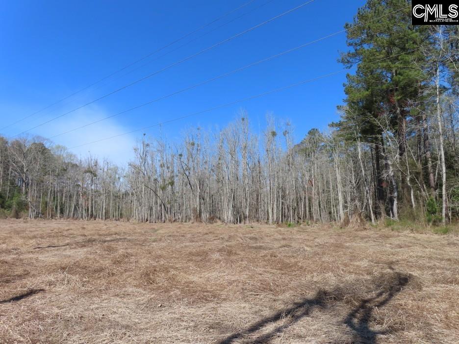 1672 Dixired Road Leesville, SC 29070 - Photo 47 of 67
