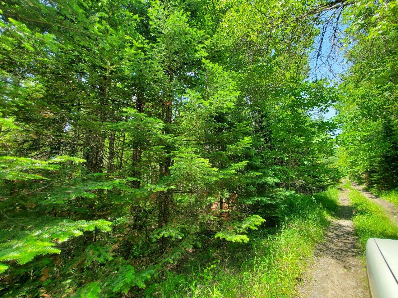 0 Morgan Road Burnham, ME 04922 - Photo 39 of 69 20250617_124250