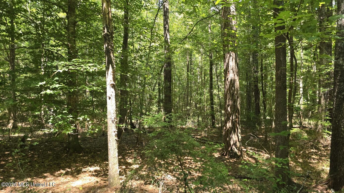 3995 Choctaw Road Brookhaven, MS 39601 - Photo 30 of 73 20260709_114218