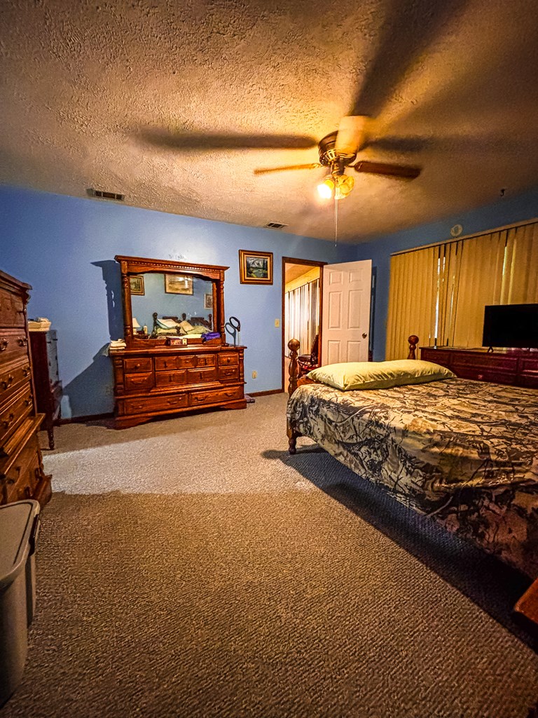154 Open Pond Road Samson, AL 36477 - Photo 13 of 17