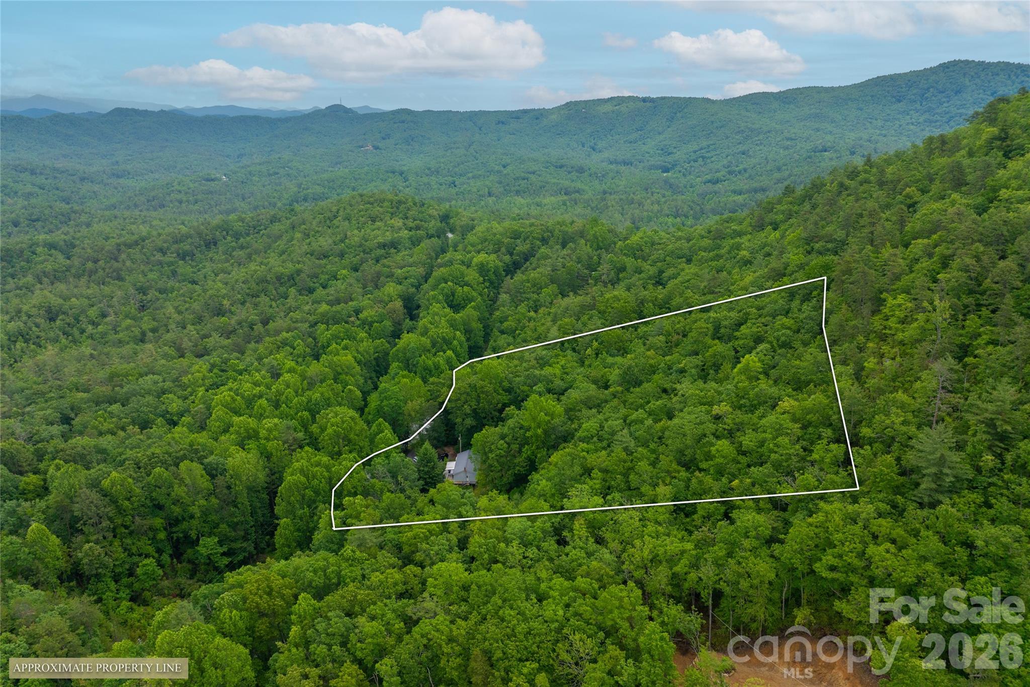 125 Round Mountain Road Brevard, NC 28712 - Photo 35 of 36