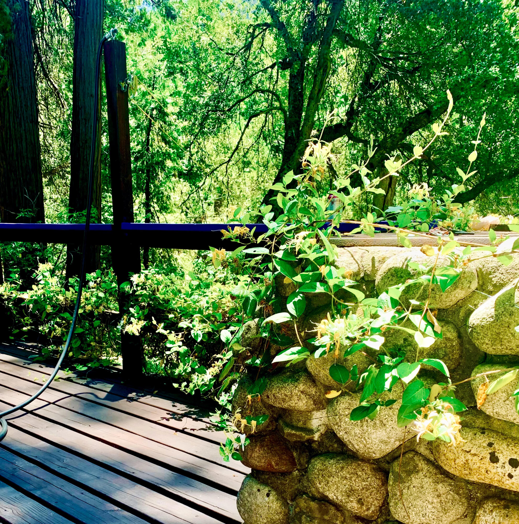1883 James Drive Springville, CA 93265 - Photo 53 of 56