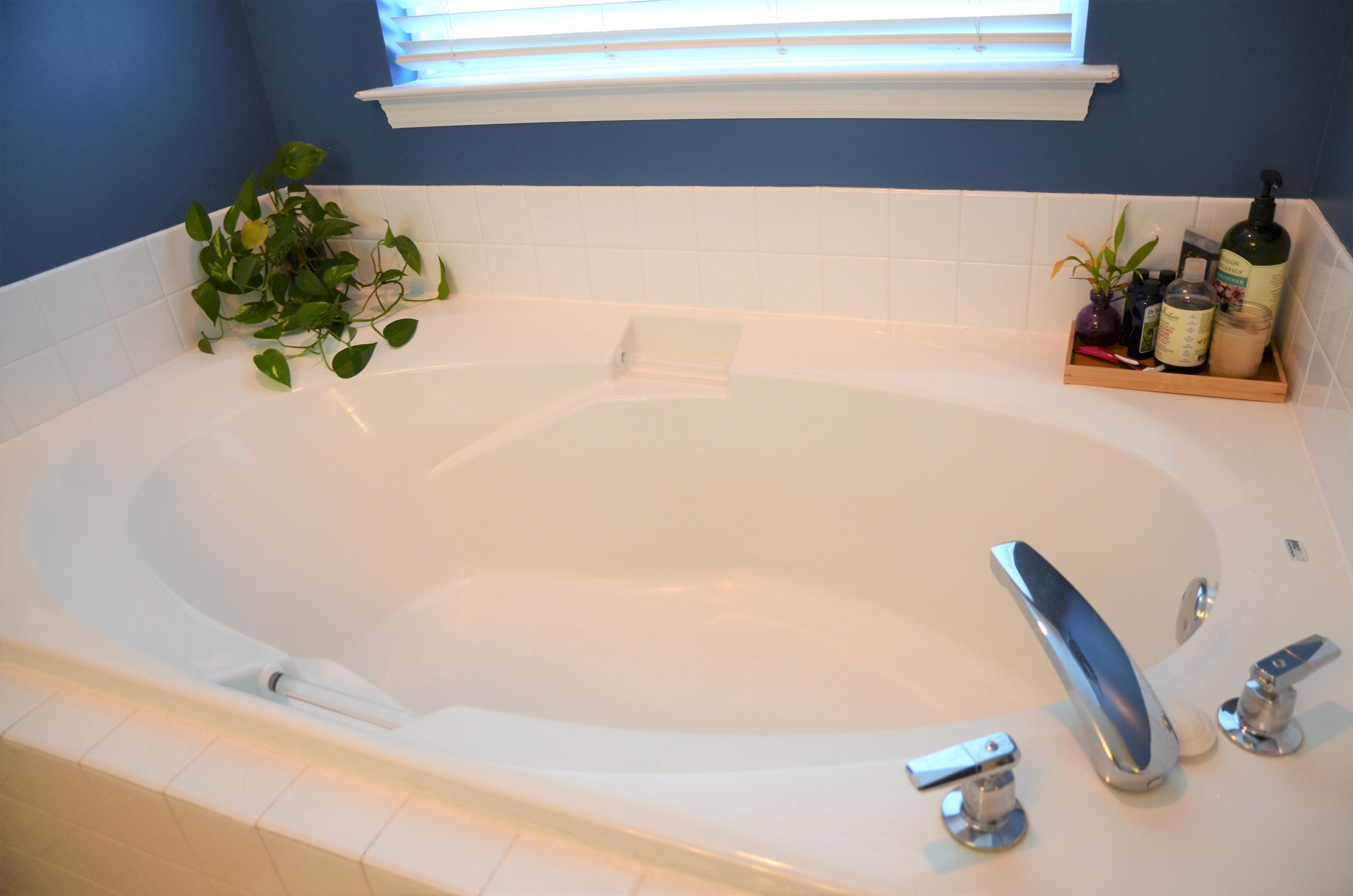 1353 Wineberry Road Powell, TN 37849 - Photo 11 of 30 Master BA Tub