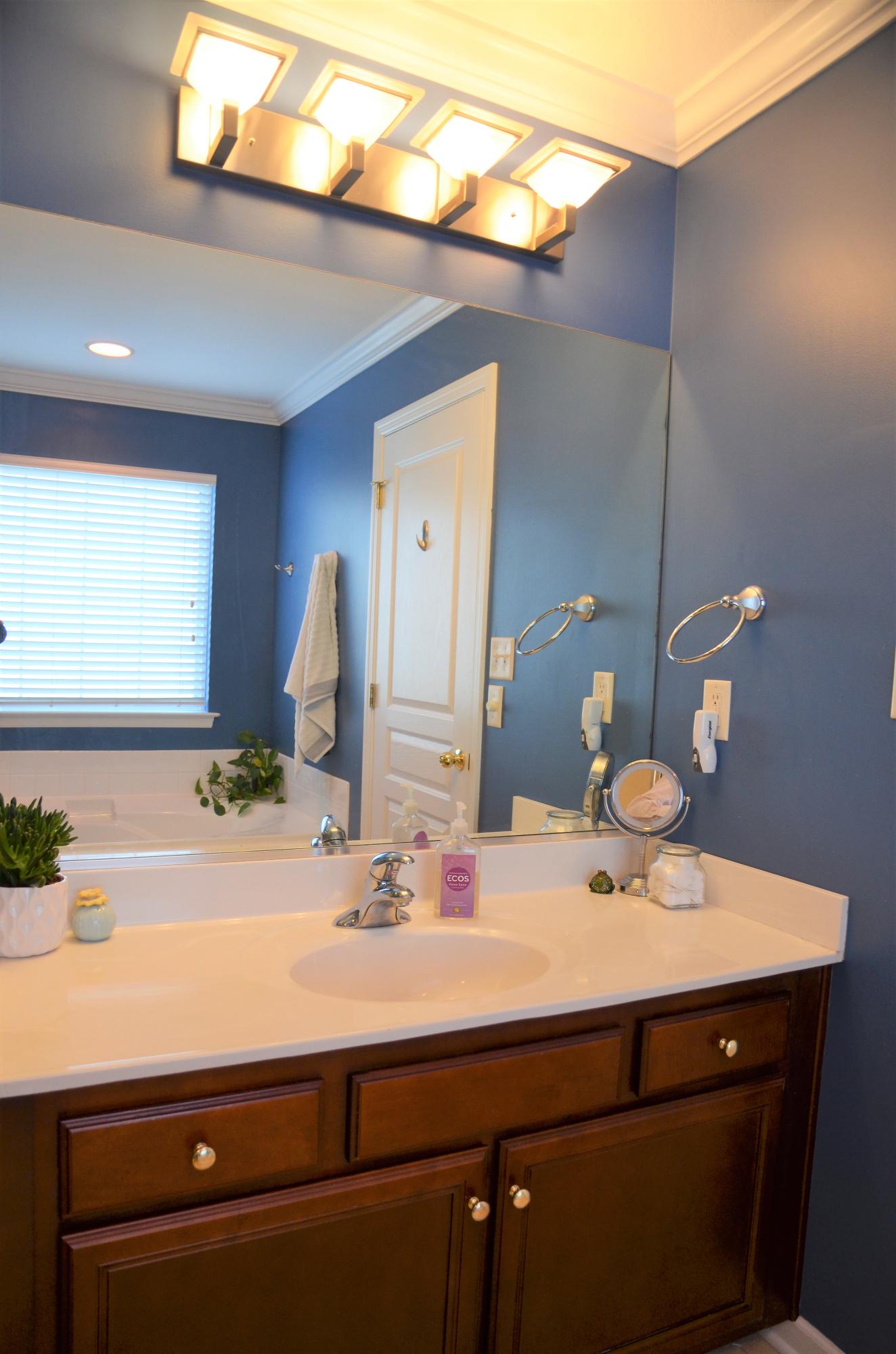 1353 Wineberry Road Powell, TN 37849 - Photo 12 of 30 Master BA 1st Sink