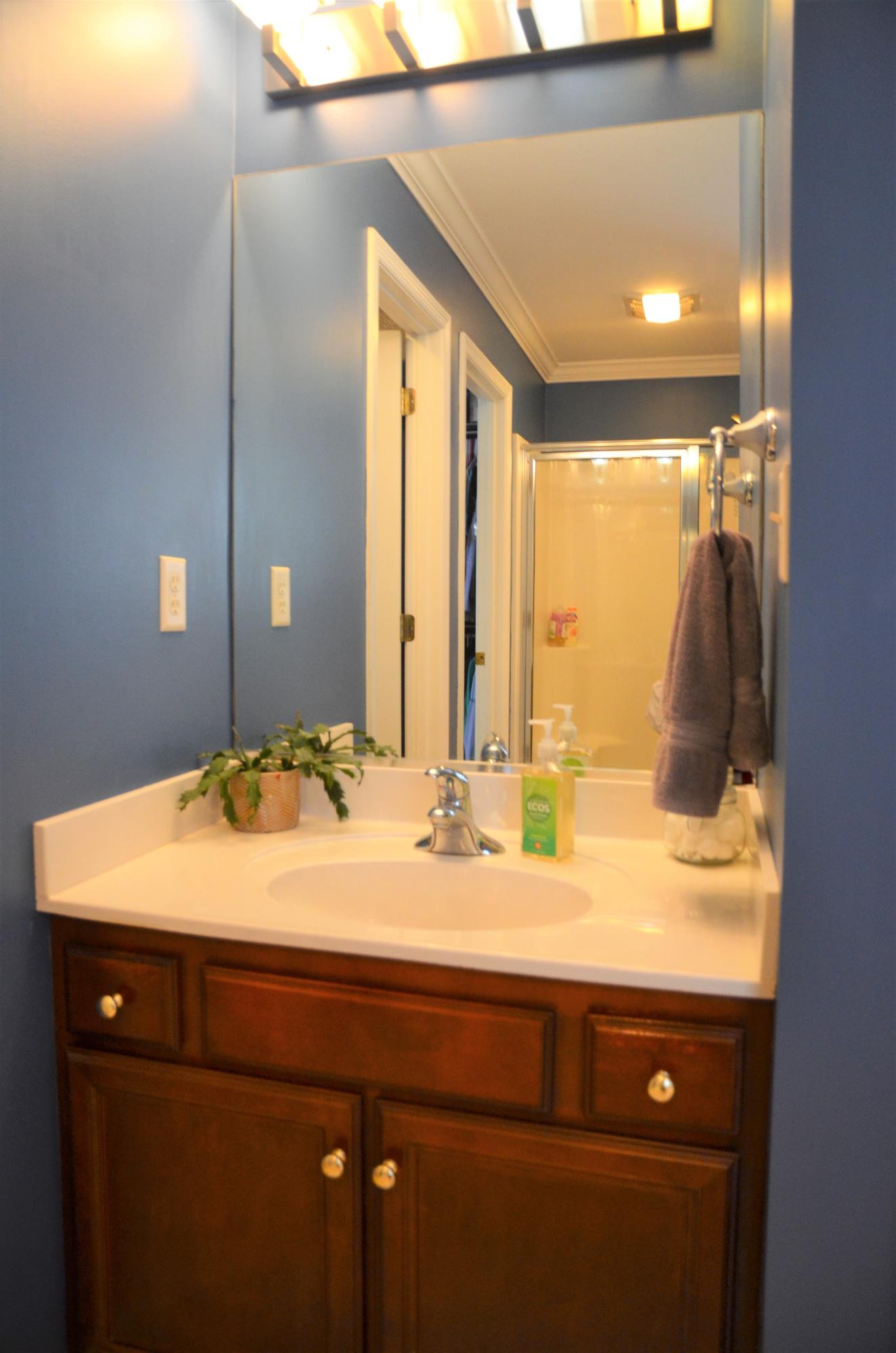 1353 Wineberry Road Powell, TN 37849 - Photo 13 of 30 Master BA 2nd Sink