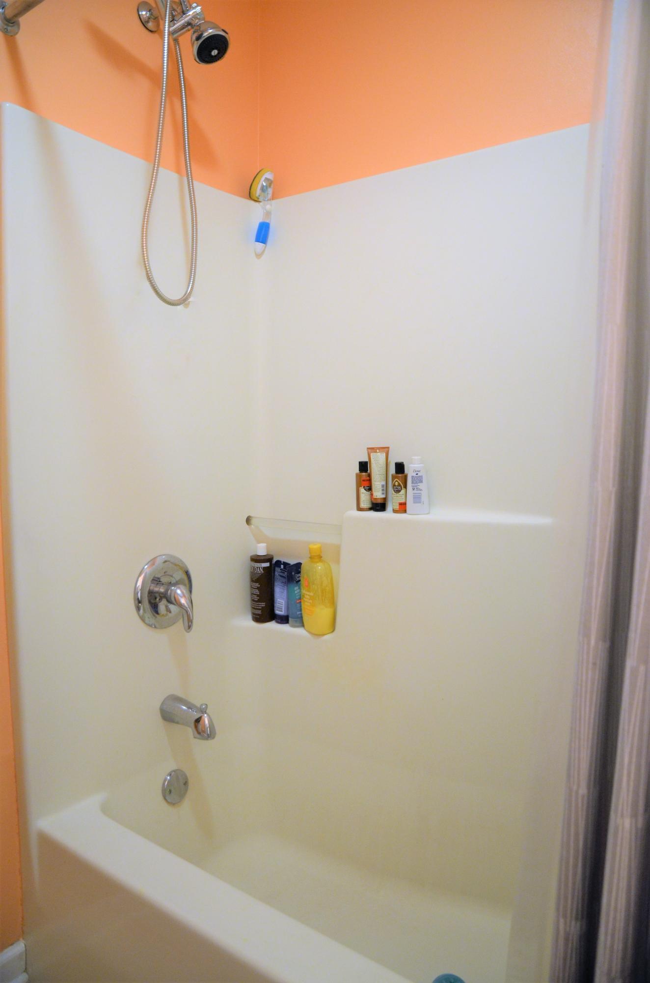 1353 Wineberry Road Powell, TN 37849 - Photo 20 of 30 2nd BA Shower
