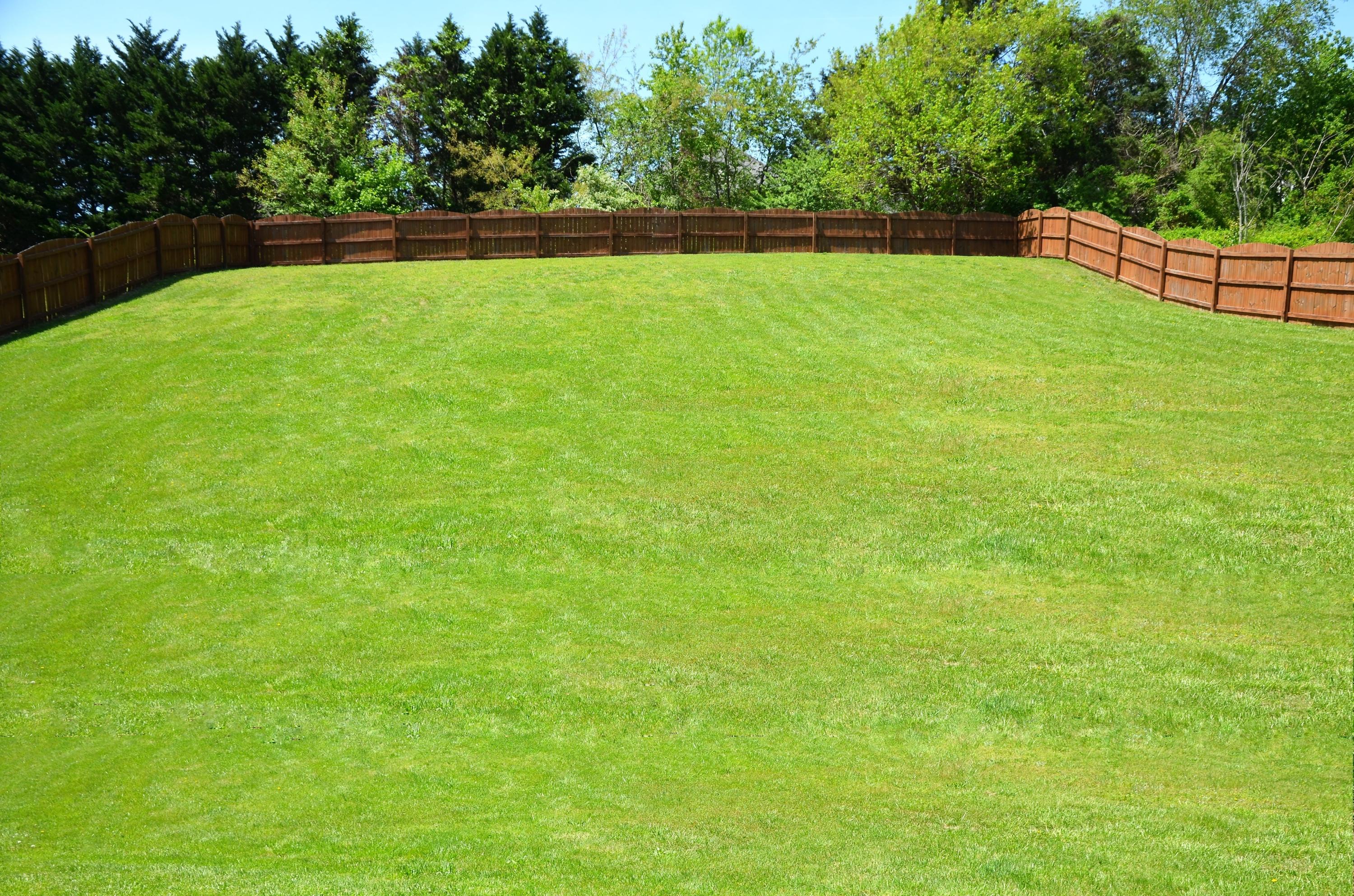 1353 Wineberry Road Powell, TN 37849 - Photo 29 of 30 Backyard