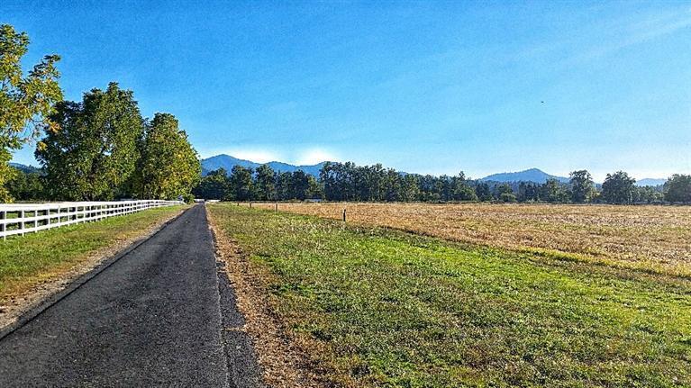 5555 Lower River Road Grants Pass, OR 97526 - Photo 2 of 3 Lower River Rd pasture