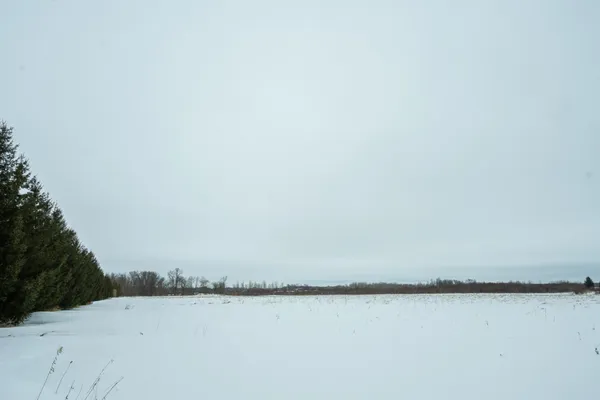 $320,000 | Tbd Sunny Acres Road Northeast, Nelson, MN 56355