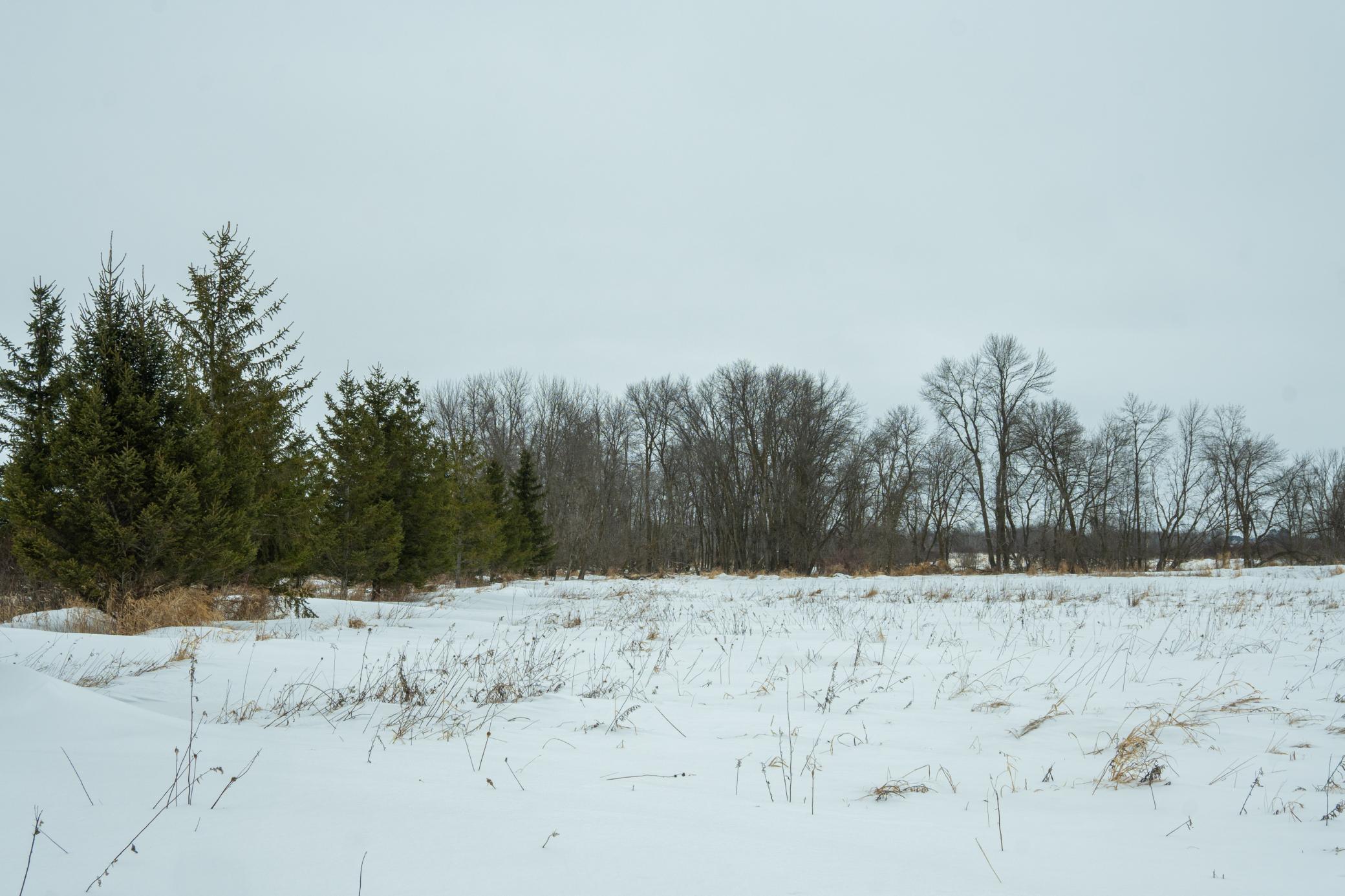 Tbd Sunny Acres Road Northeast Nelson, MN 56355 - Photo 30 of 67